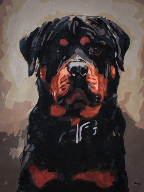 bold Rottweiler paint-by-number
